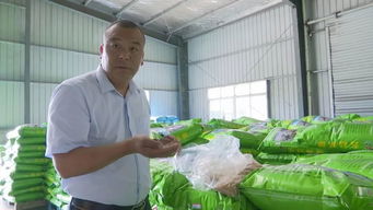 十三條倔強的背影 700余天反復試驗，鋪就蝦農綠色健康養殖路